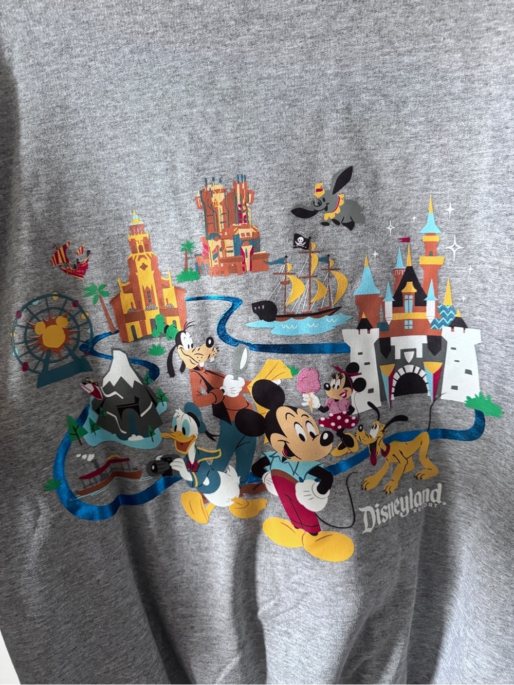 NWOT-Disneyland Gray Zip-Up Hoodie with Castle & Mickey Graphic-Medium - Picture 5 of 5
